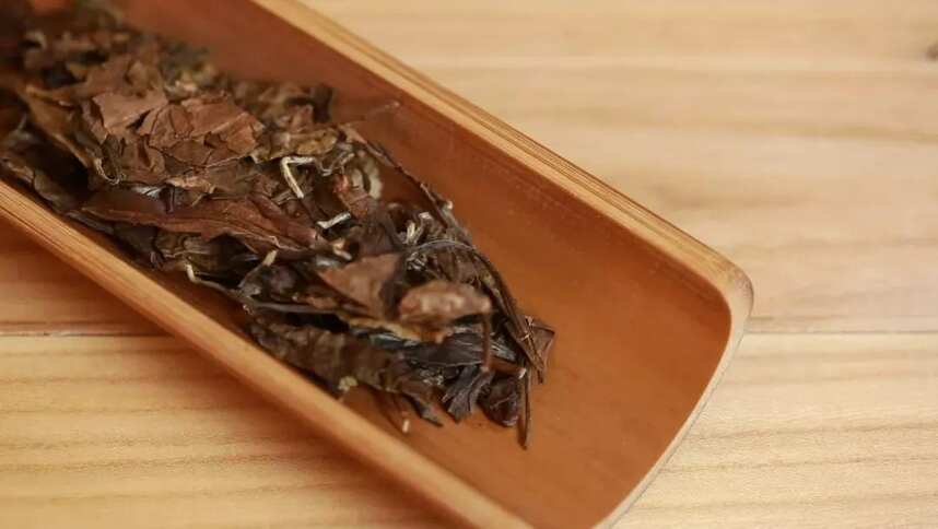 冬天适合煮什么茶？看了就会操作的实用煮茶攻略