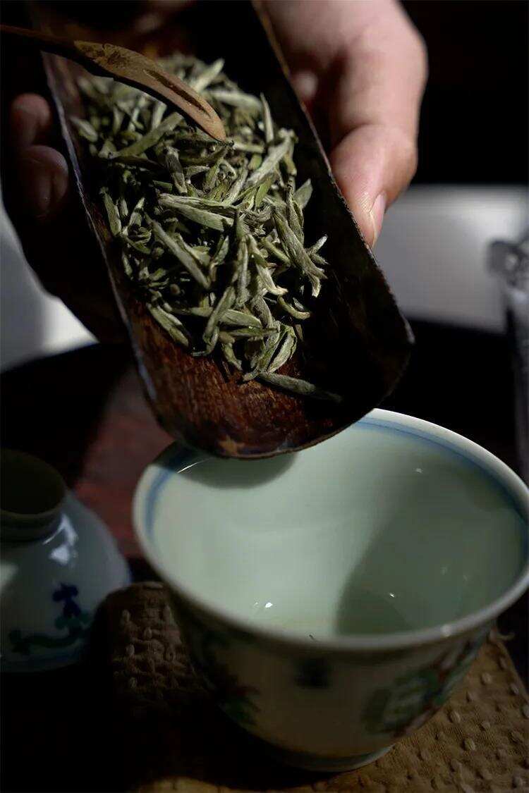 冬天到了，不适合喝新白茶、绿茶了？这是真的么？