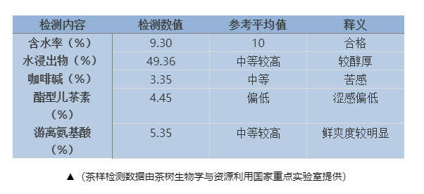 【漫话茶山】悠悠岁月，漫漫茶香——易武茶山（下）