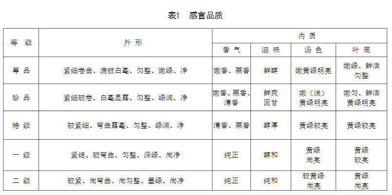 贵州茶未来可期，一个把毛主席吸引住的茶：都匀毛尖