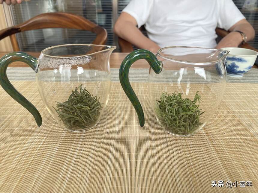 泡茶入门必学的绿茶“三投法”，你知道是什么吗？