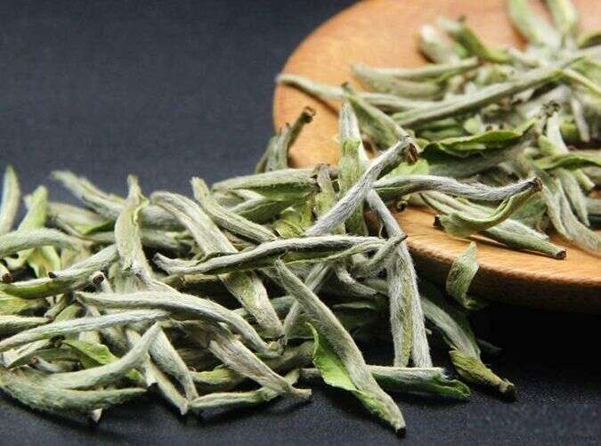 哪款茶能成为秋季饮茶NO.1？