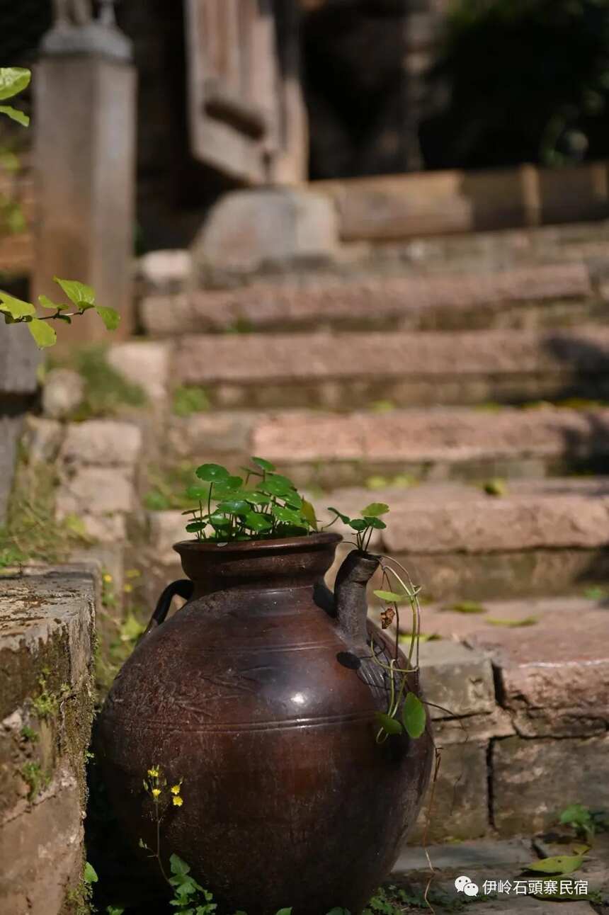 闲坐庭院，沐浴春雨，你话往时，我画往事