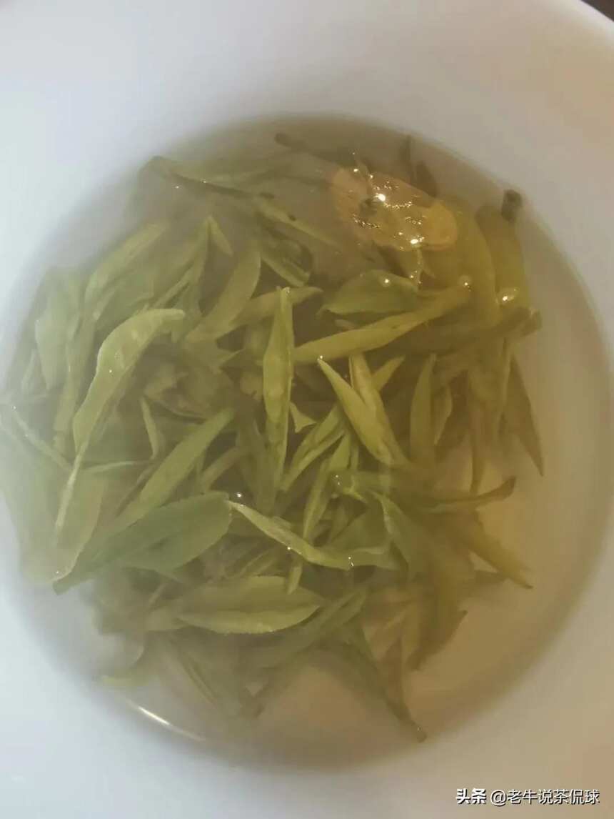 100+的口粮绿茶，高温天里的解暑凉器