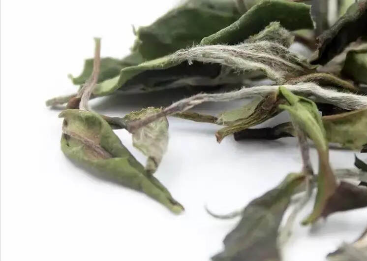 福鼎白茶｜饼茶、散茶？春茶、秋茶？白茶寿眉如何选？