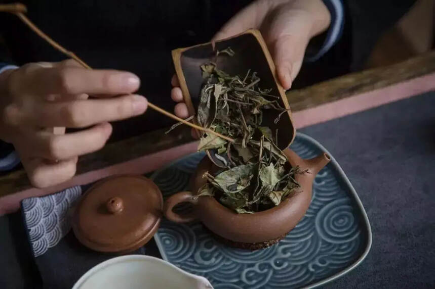 福鼎白茶｜饼茶、散茶？春茶、秋茶？白茶寿眉如何选？