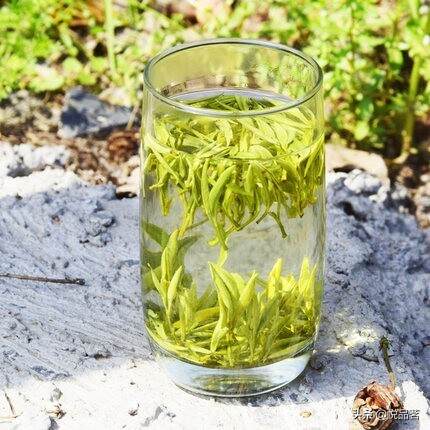 看似喝茶却无茶，道似无茶却有茶，每一段人生都犹如一杯好茶