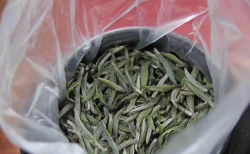 福鼎白茶究竟是散茶好，还是茶饼好？谁更有收藏价值？