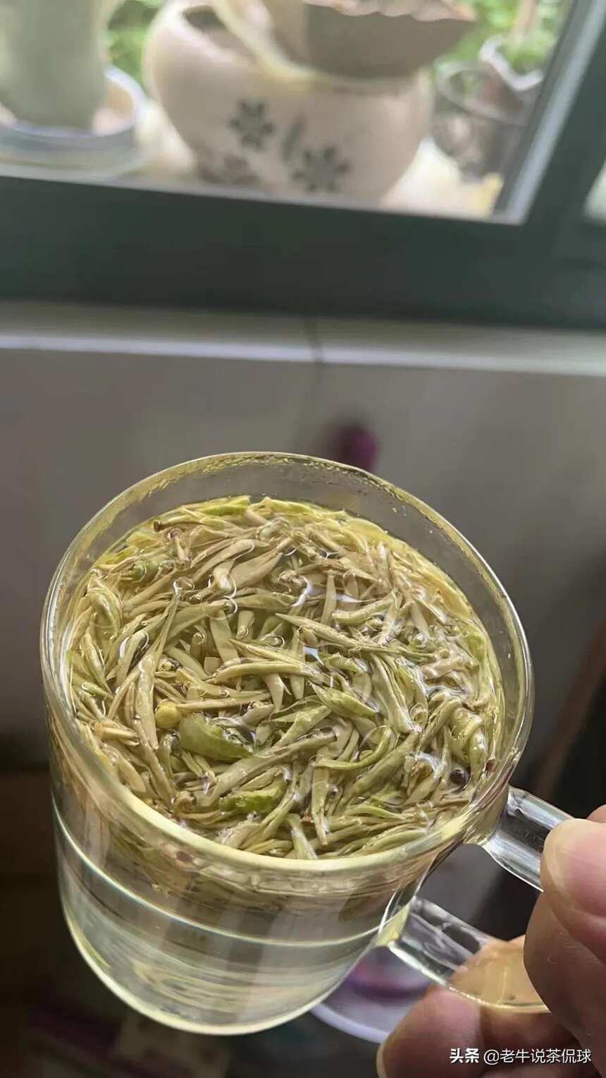 茶香飘扬，鲜如鸡汤！为何安吉白茶成为当下年轻一代的茶宠