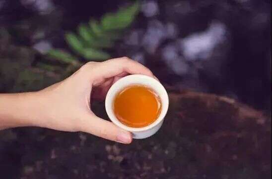 不论红茶、岩茶、白茶还是普洱茶，好茶都有哪些共同特征？