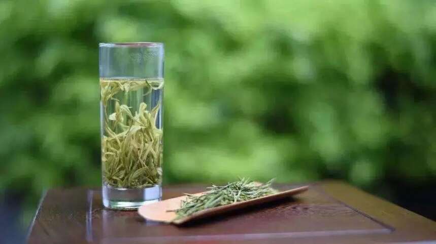 陆羽茶交所分享为什么普洱能藏100年，而绿茶保质期只有36个月？