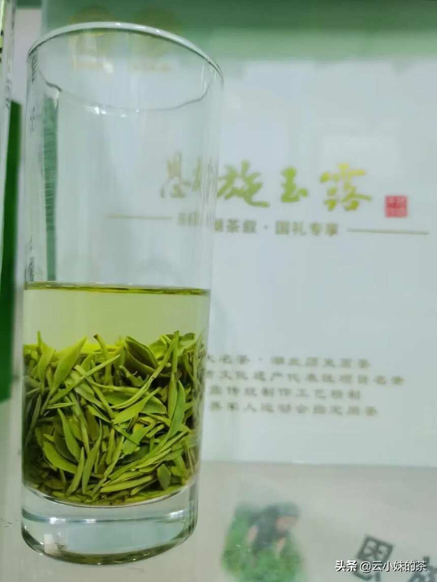 如何选择一款口粮茶？