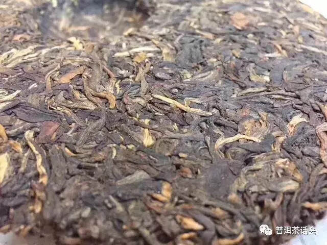 兴海精品茶，302景迈