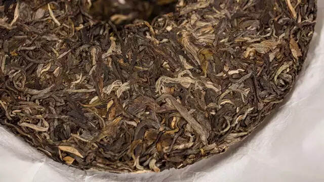 古树茶好喝的12个小秘密