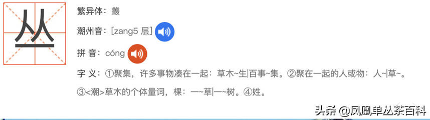 凤凰单丛还是凤凰单枞？丛 还是 枞？