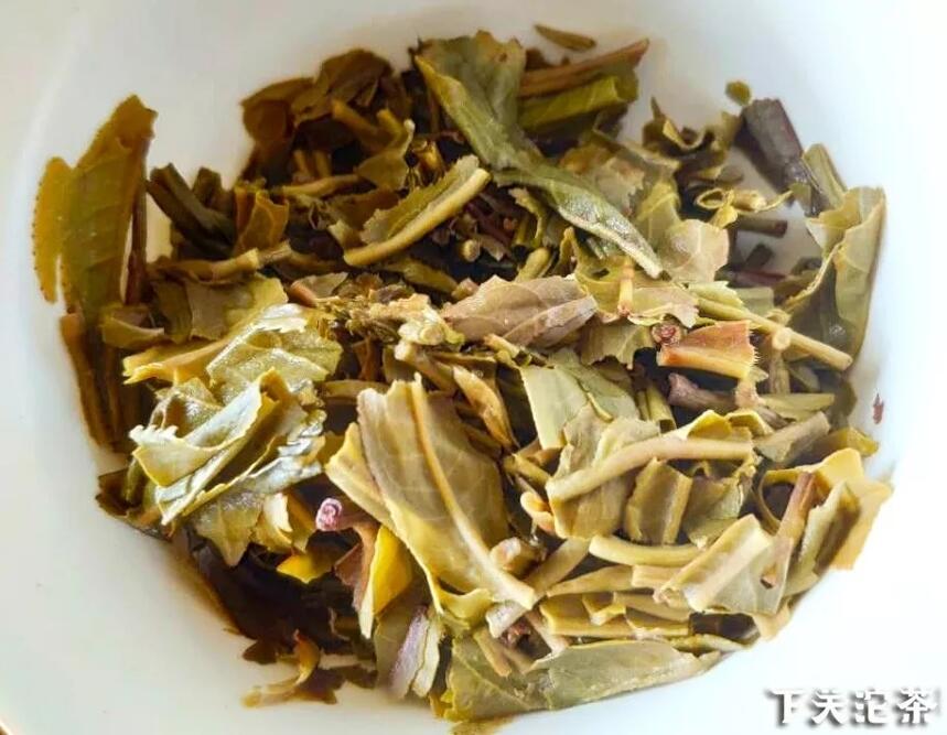 「老茶笔记」教你喝懂一款茶——1959金苍洱沱茶