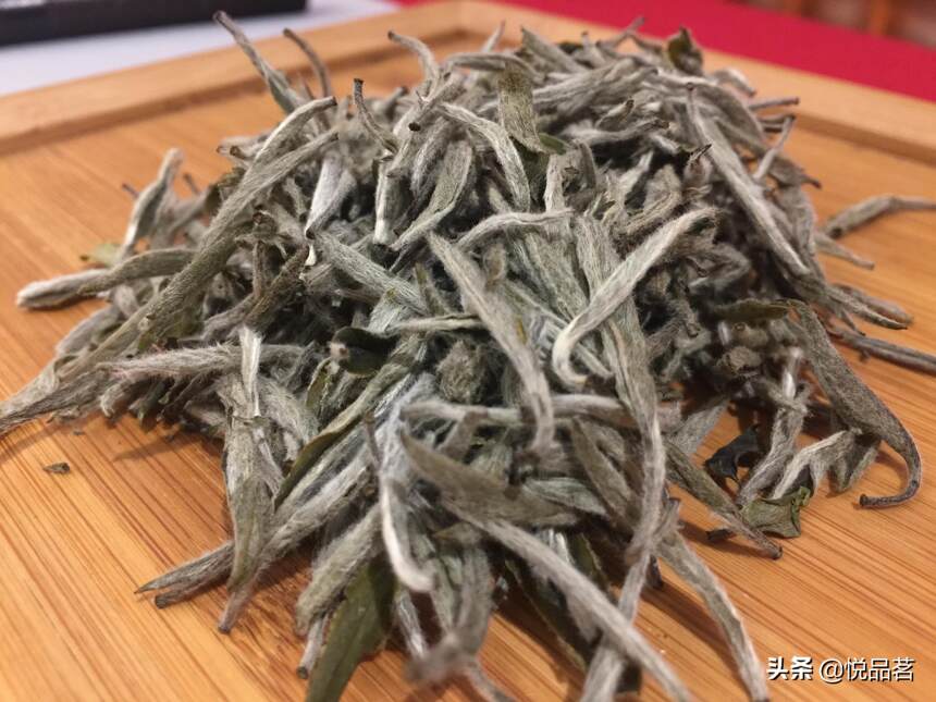 白毫银针是放得越久越好喝的吗？白毫银针新茶老茶都可以喝吗？