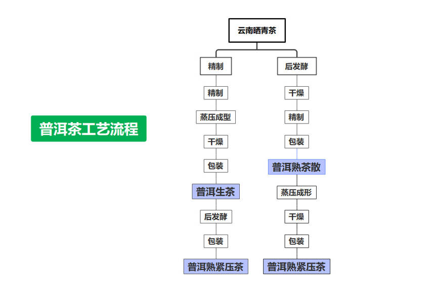 生普放久能变熟普？普洱越放越好？生普、熟普谁更有收藏价值？