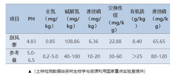 【漫话茶山】悠悠岁月，漫漫茶香——易武茶山（下）