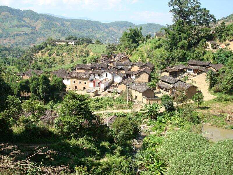 漫湾藏着一座古茶山