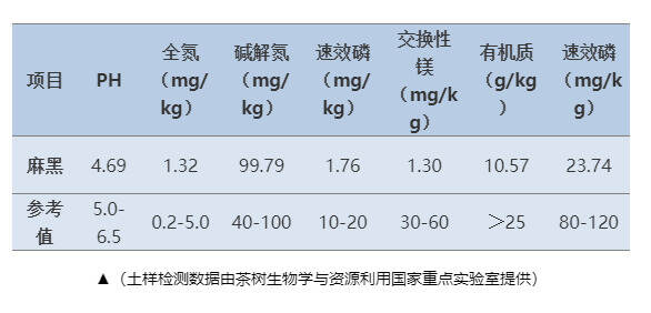 【漫话茶山】悠悠岁月，漫漫茶香——易武茶山（下）