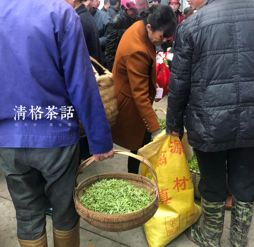 2019年福鼎白茶开茶节下攒动的茶人们