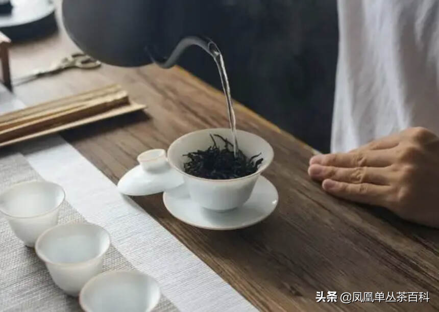 一看就会，人人都可以泡好一杯单丛茶