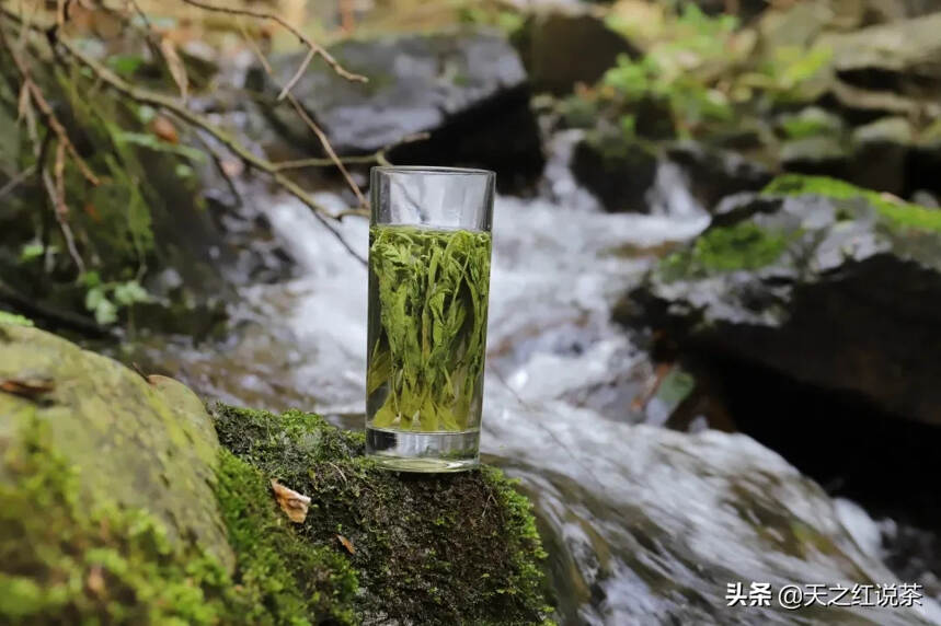 太平猴魁——俘获你的味蕾！