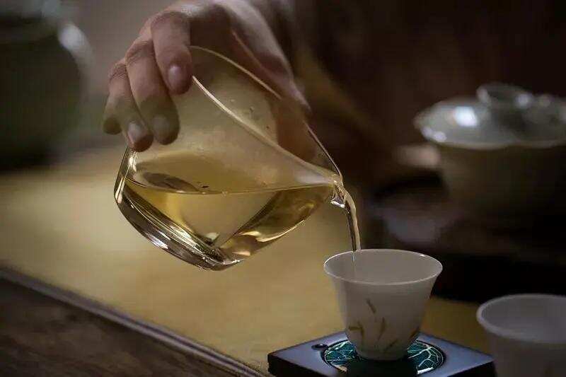 不饮春茶，怎知春光已至，什么样的春白茶值得购买？