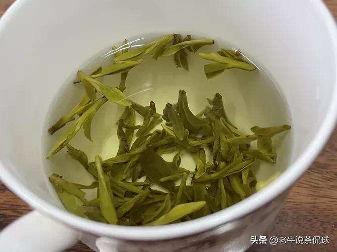 茶圈的几大谎言，你听说过几条？