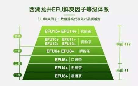 喝茶还得“有数”？艺福堂发布西湖龙井标准新体系