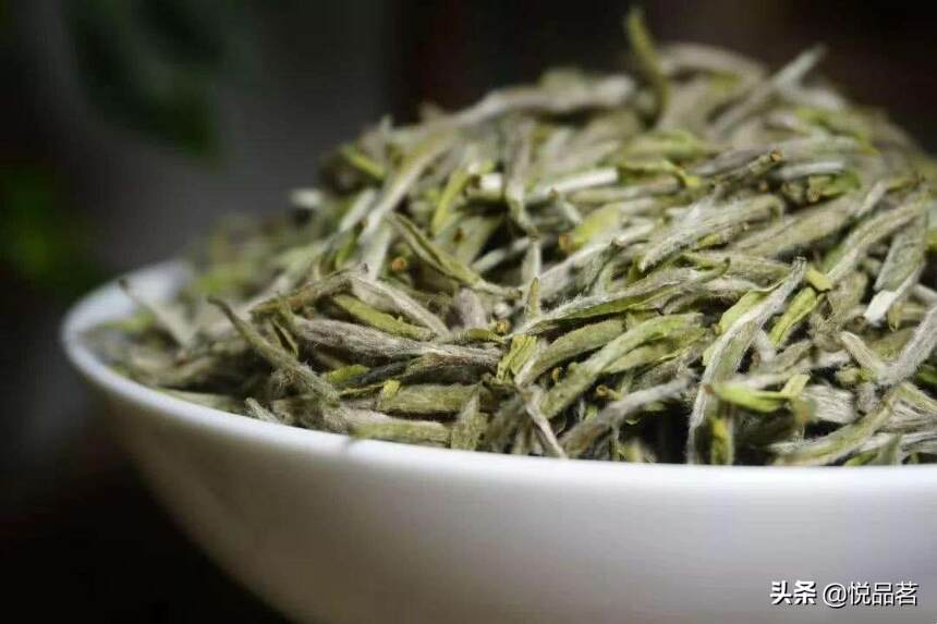 白毫银针的饼茶为什么没有散茶好？白毫银针为什么不建议压饼？