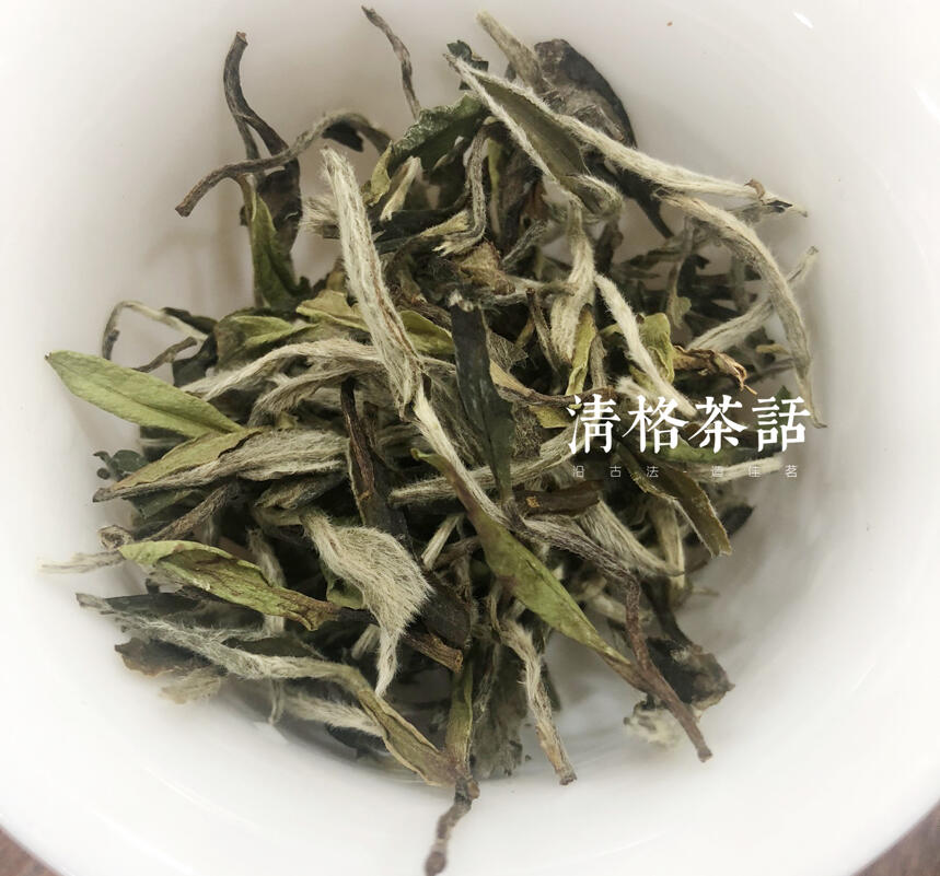 福鼎白茶和安吉白茶的区别在哪里？脱离茶叶小白！