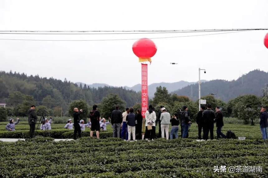 闻“春”而动，香飘万里---昨日这场活动嗨翻杨溪桥