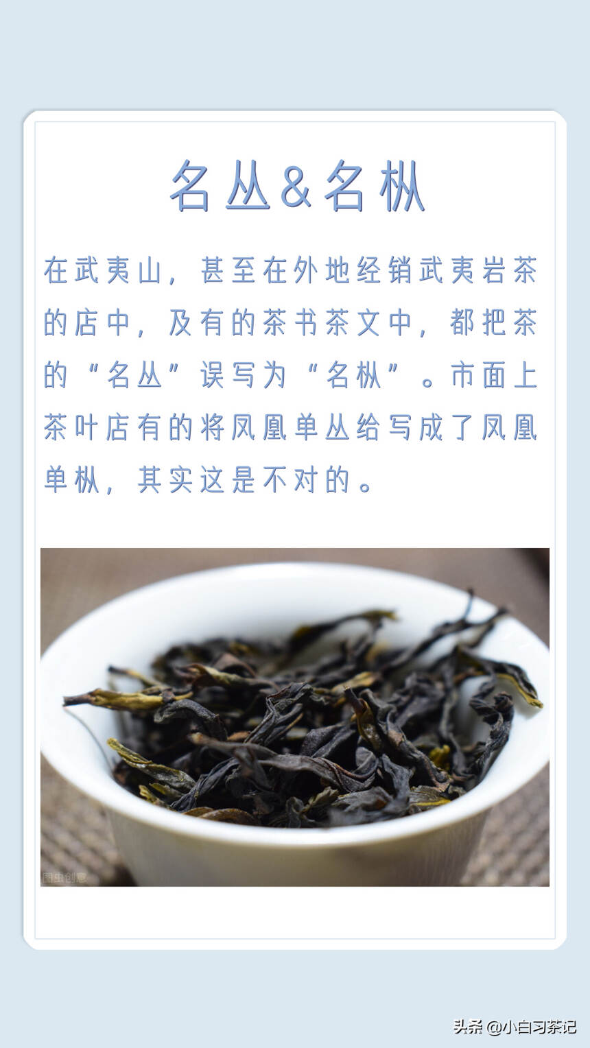 工夫茶还是功夫茶？名丛还是名枞？到底哪个是对的