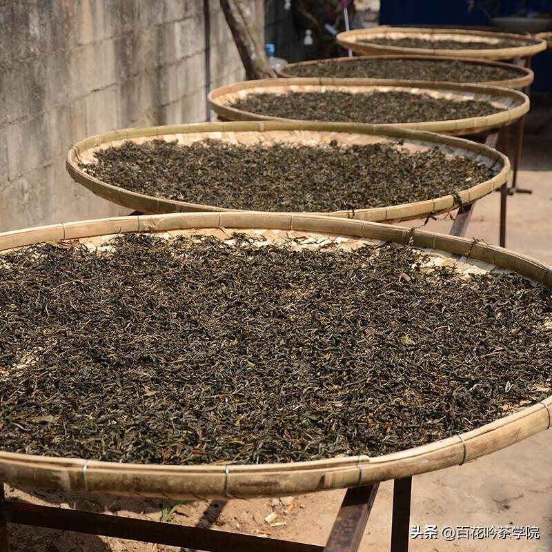 关于普洱茶的这些知识，爱喝茶的你一定要知道