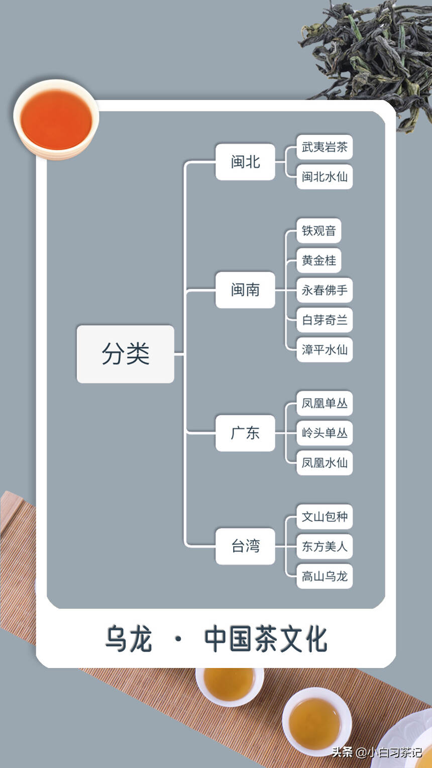 一组图，带你全方位了解乌龙茶