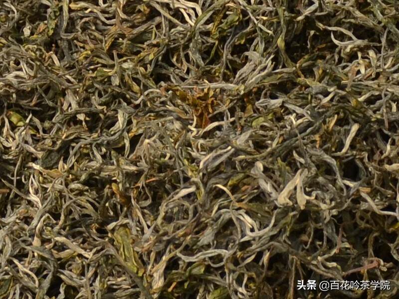 2019百花吟茶山行第十站困鹿山：深藏功与名的皇家古茶园