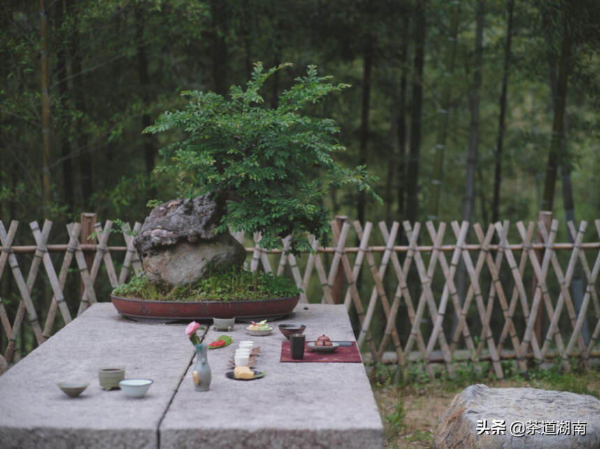 茶人雅集，春日里的“别样聚会”