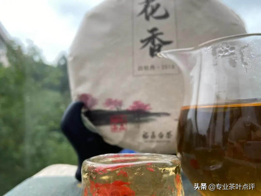 囤白茶却不知道新茶应该具备的品质？这份白茶解析大全请收好