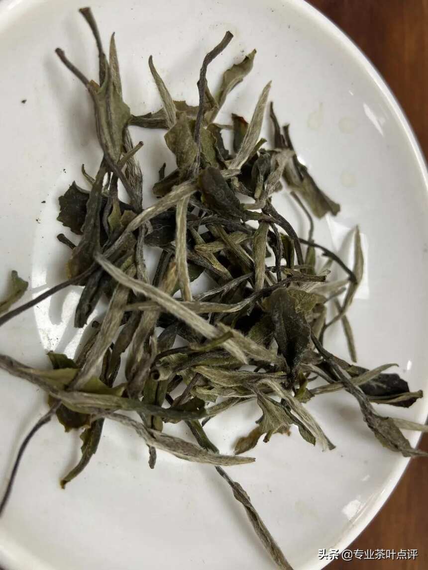 茶评/政和白茶获奖原样审评