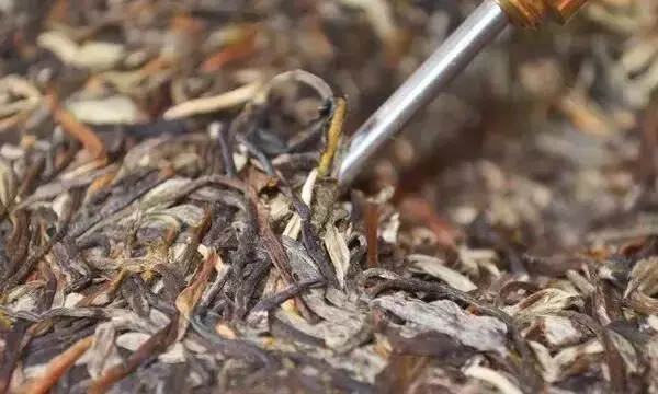 普洱茶如何干醒？简单三步轻松搞定