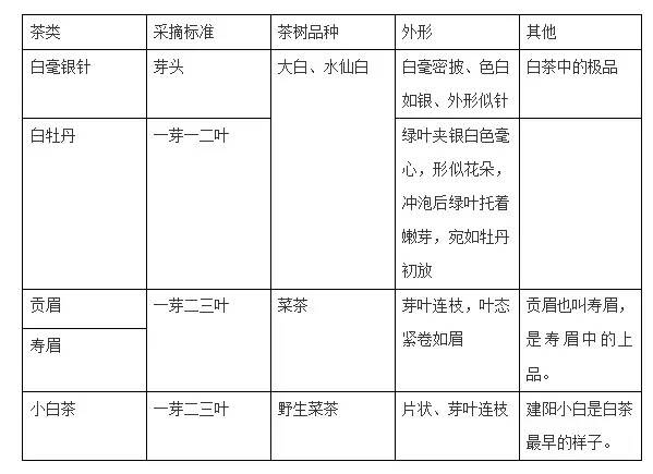 评茶达人「白茶篇」丨什么是白茶？