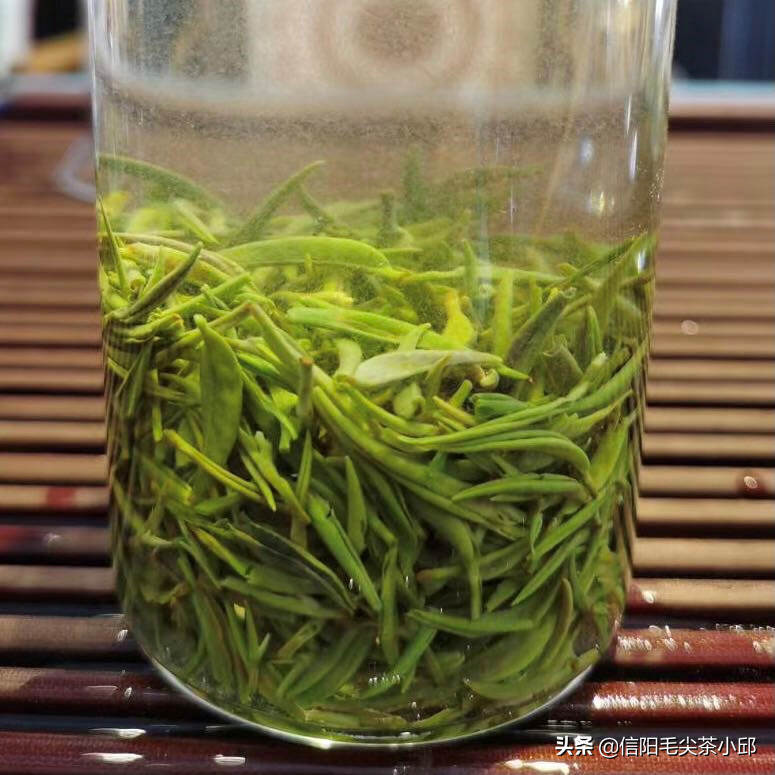 信阳毛尖春茶、夏茶、秋茶之间的区别你了解吗？