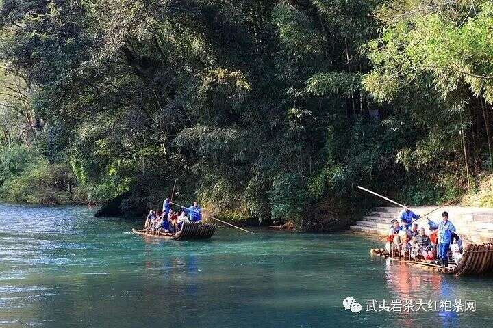 从茶韵说武夷岩茶大红袍的岩韵