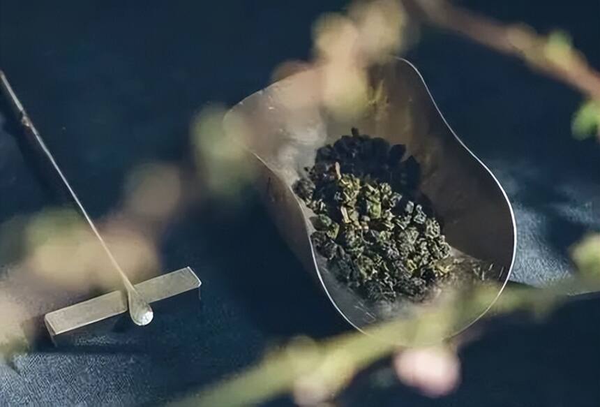 青茶 | 台湾乌龙 --- 高山乌龙茶的特征 代表性高山茶 - 阿里山乌龙