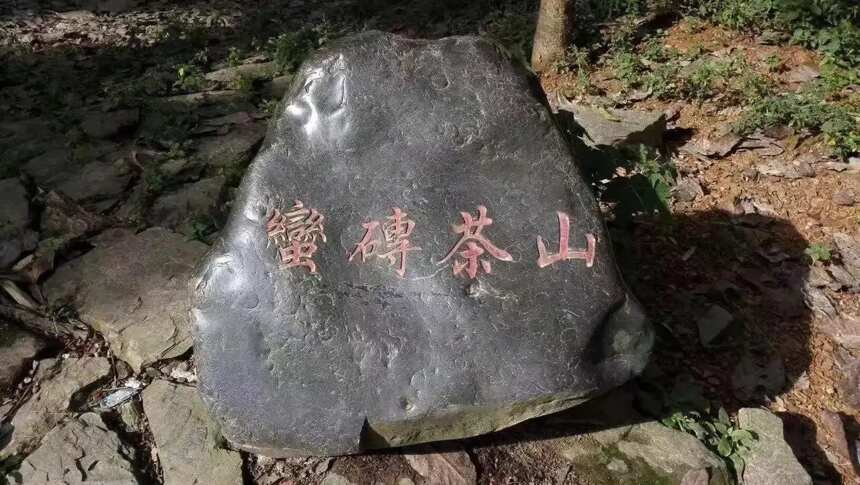 云南的六大茶山怎么来的？