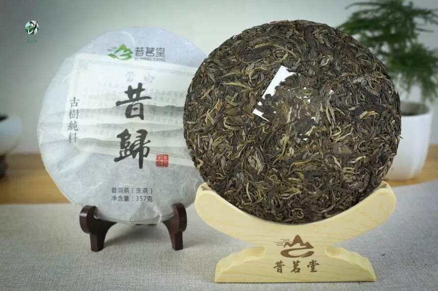 普洱茶那么多山头，哪座山头的春茶口感更好？今天我们先说说临沧