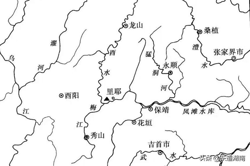 古丈县酉水流域：野生古树茶资源保护性开发