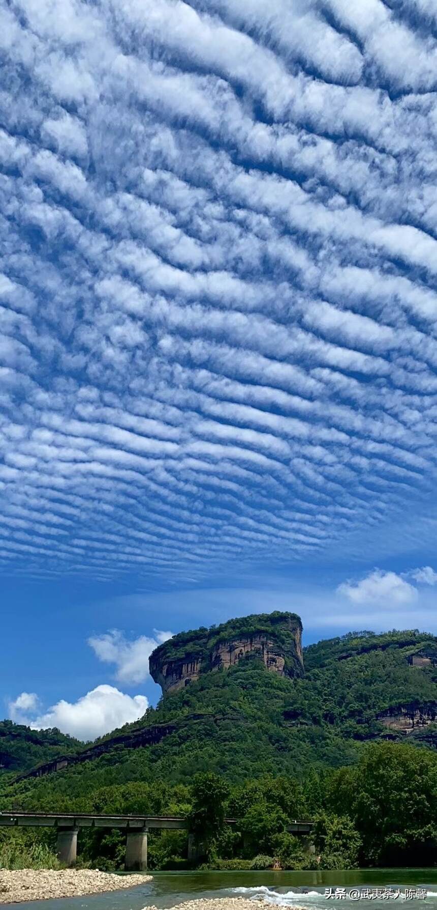 碧水丹山出武夷好茶